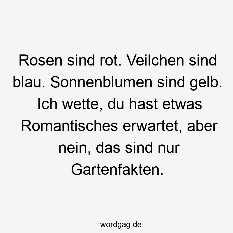 12 Lustige Rosen Sprüche - Rosen sind rot. Veilchen sind blau. Sonnenblumen sind gelb. Ich wette, du hast etwas Romantisches erwartet, aber nein, das sind nur Gartenfakten.