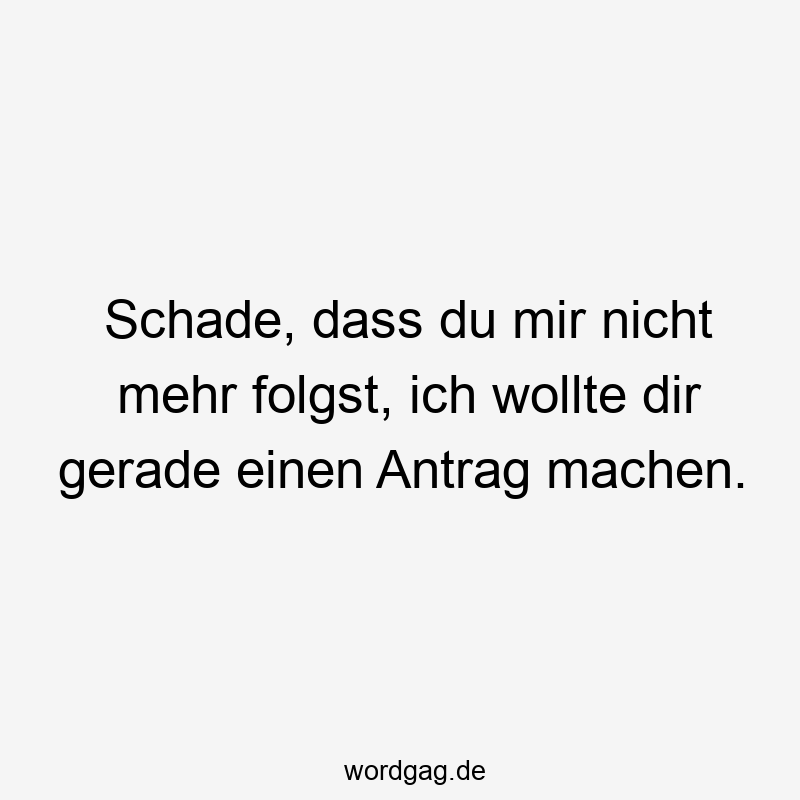 Lustige Sprüche: Antrag - Schade, dass du mir nicht mehr folgst, ich wollte dir gerade einen Antrag machen.