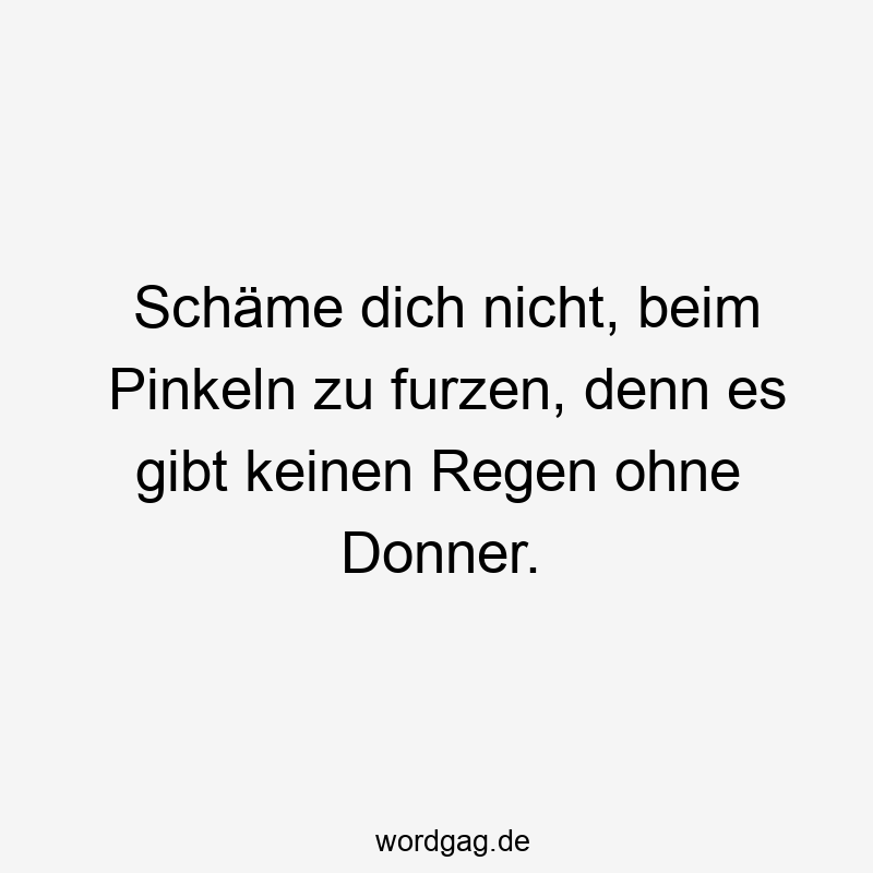 Schäme dich nicht, beim Pinkeln zu furzen, denn es gibt keinen Regen ohne Donner.