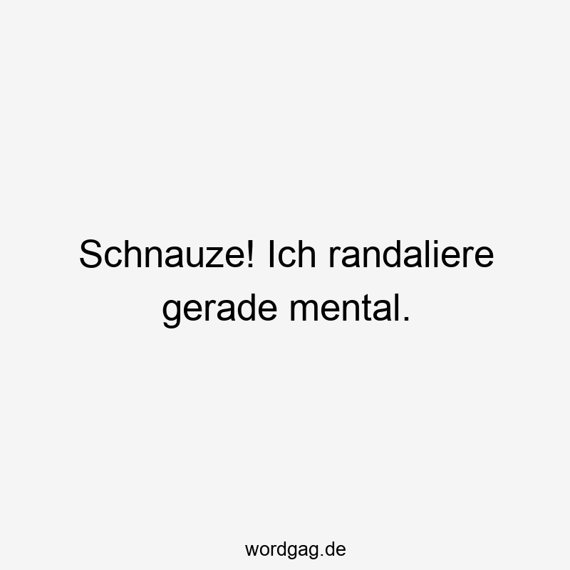 Lustige mental Sprüche - Schnauze! Ich randaliere gerade mental.