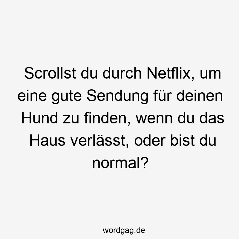 Scrollst du durch Netflix, um eine gute Sendung für deinen Hund zu finden, wenn du das Haus verlässt, oder bist du normal?