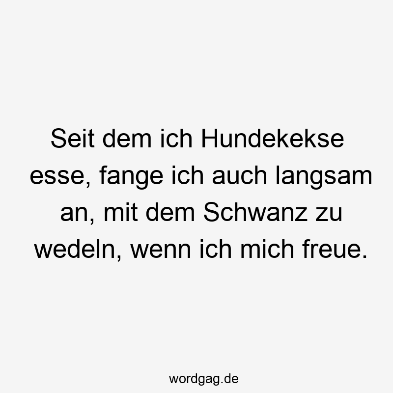 Seit dem ich Hundekekse esse, fange ich auch langsam an, mit dem Schwanz zu wedeln, wenn ich mich freue.