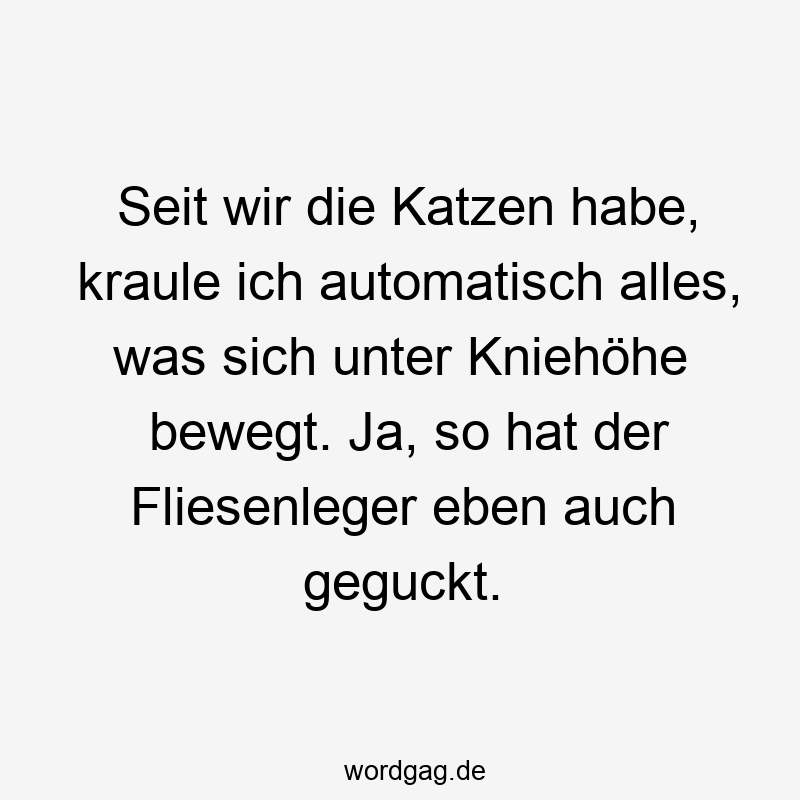 Seit wir die Katzen habe, kraule ich automatisch alles, was sich unter Kniehöhe bewegt. Ja, so hat der Fliesenleger eben auch geguckt.