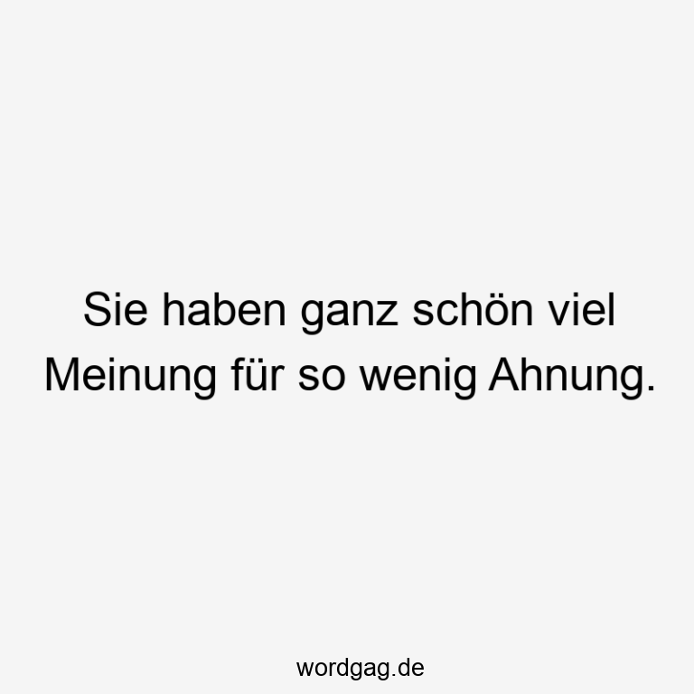 Ganz Schön Viel Meinung Für So Wenig Ahnung Sie haben ganz schön viel Meinung für so wenig Ahnung.