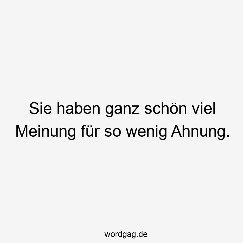 Sie haben ganz schön viel Meinung fĂŒr so wenig Ahnung.