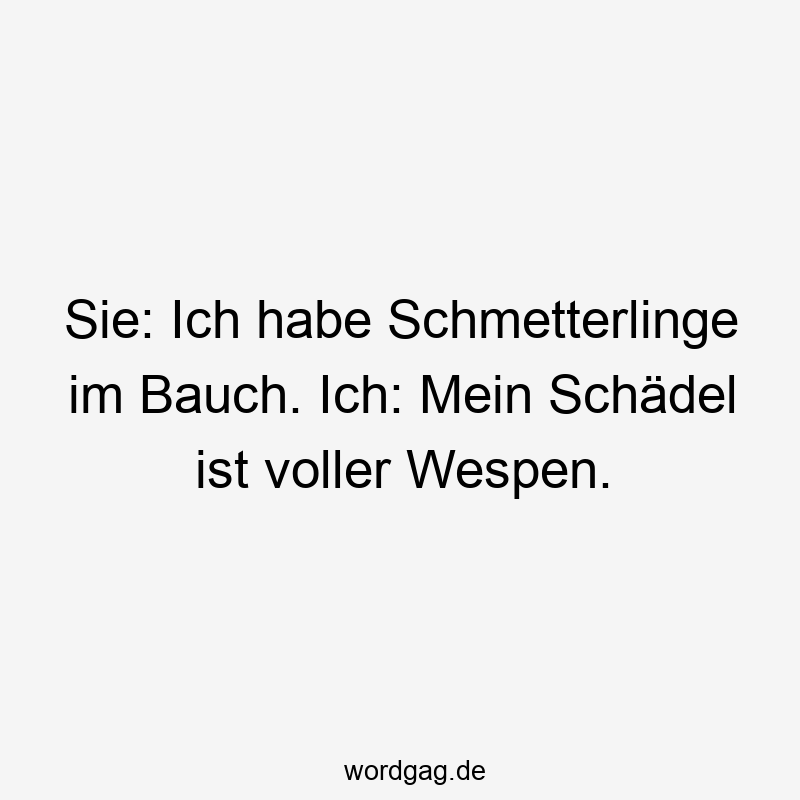 Sie: Ich habe Schmetterlinge im Bauch. Ich: Mein Schädel ist voller Wespen.