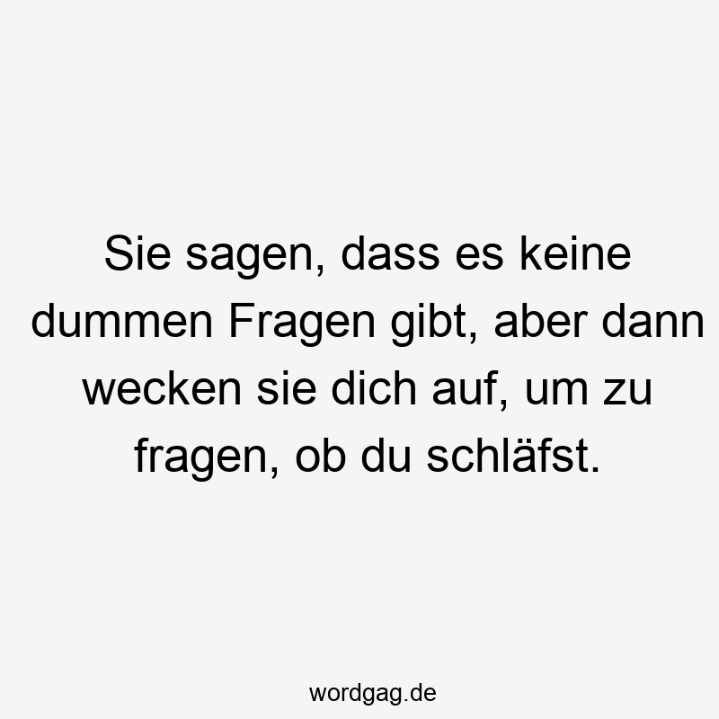 Sie sagen, dass es keine dummen Fragen gibt, aber dann wecken sie dich auf, um zu fragen, ob du schläfst.
