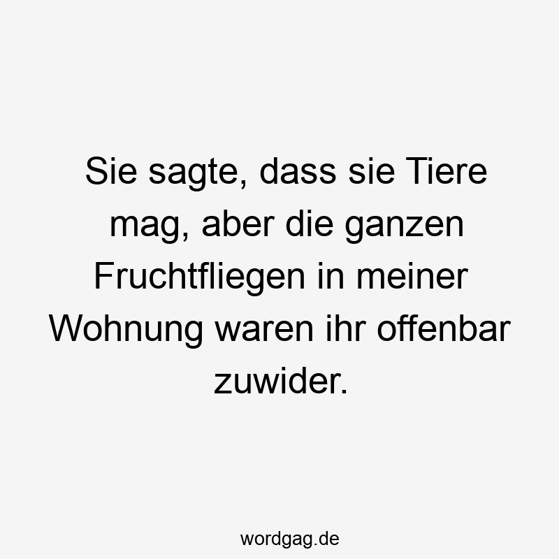 Sie sagte, dass sie Tiere mag, aber die ganzen Fruchtfliegen in meiner Wohnung waren ihr offenbar zuwider.