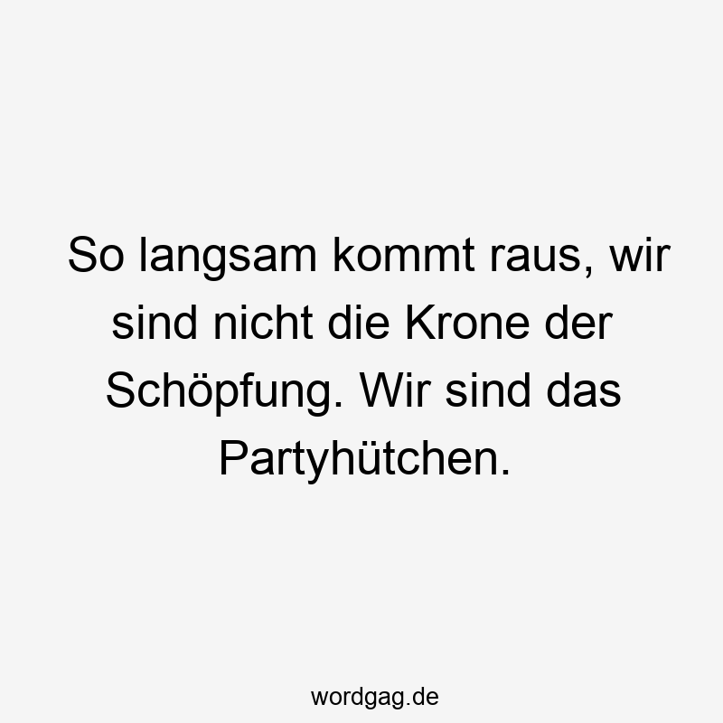 So langsam kommt raus, wir sind nicht die Krone der Schöpfung. Wir sind das Partyhütchen.