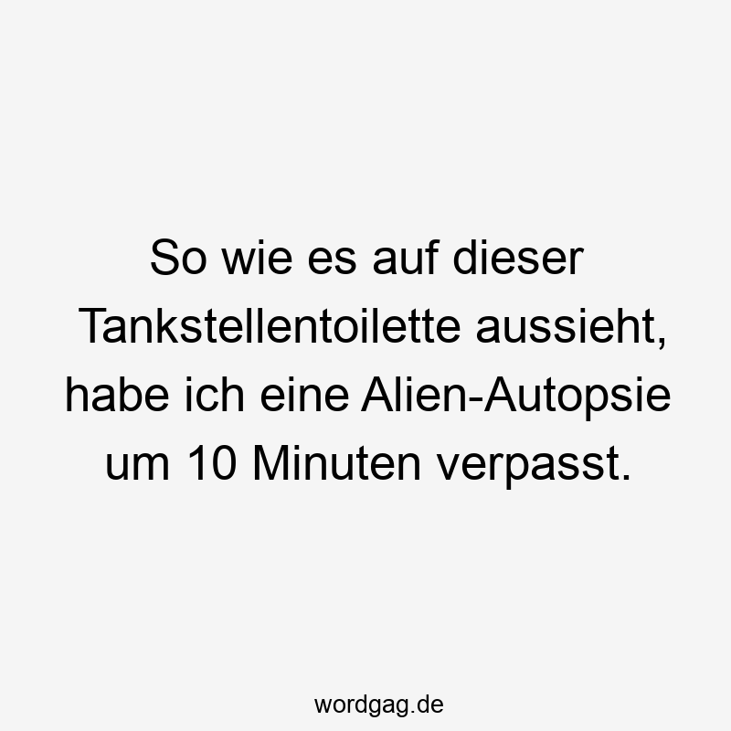Lustige Sprüche: Toilettenhumor - So wie es auf dieser Tankstellentoilette aussieht, habe ich eine Alien-Autopsie um 10 Minuten verpasst.