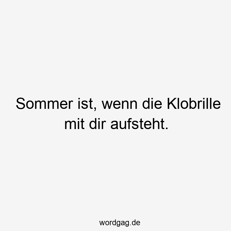 Sommer ist, wenn die Klobrille mit dir aufsteht.