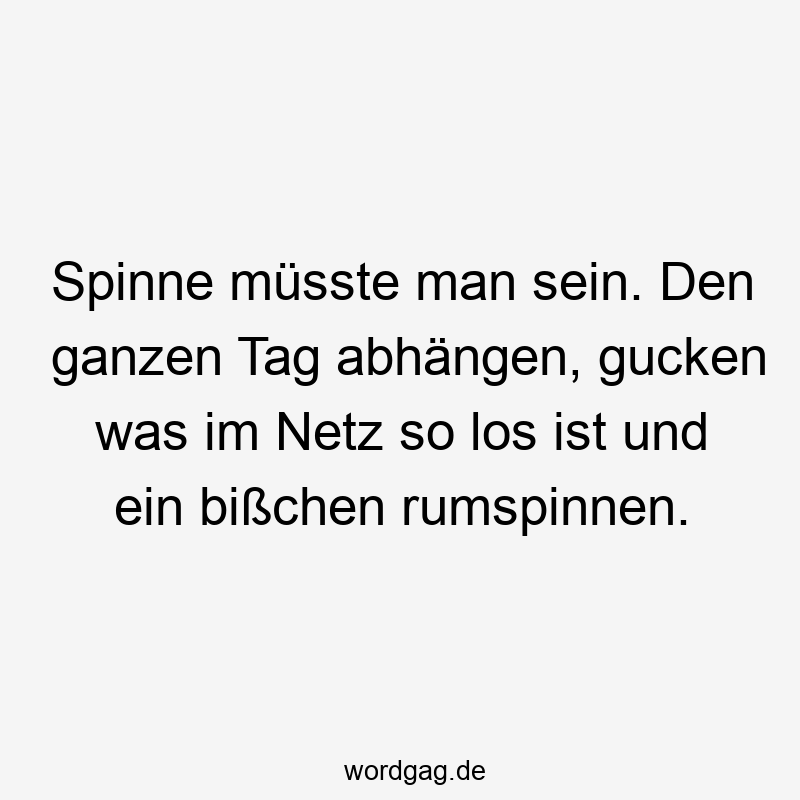 Spinne müsste man sein. Den ganzen Tag abhängen, gucken was im Netz so los ist und ein bißchen rumspinnen.