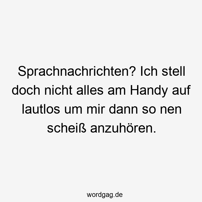 Sprachnachrichten? Ich stell doch nicht alles am Handy auf lautlos um mir dann so nen scheiß anzuhören.