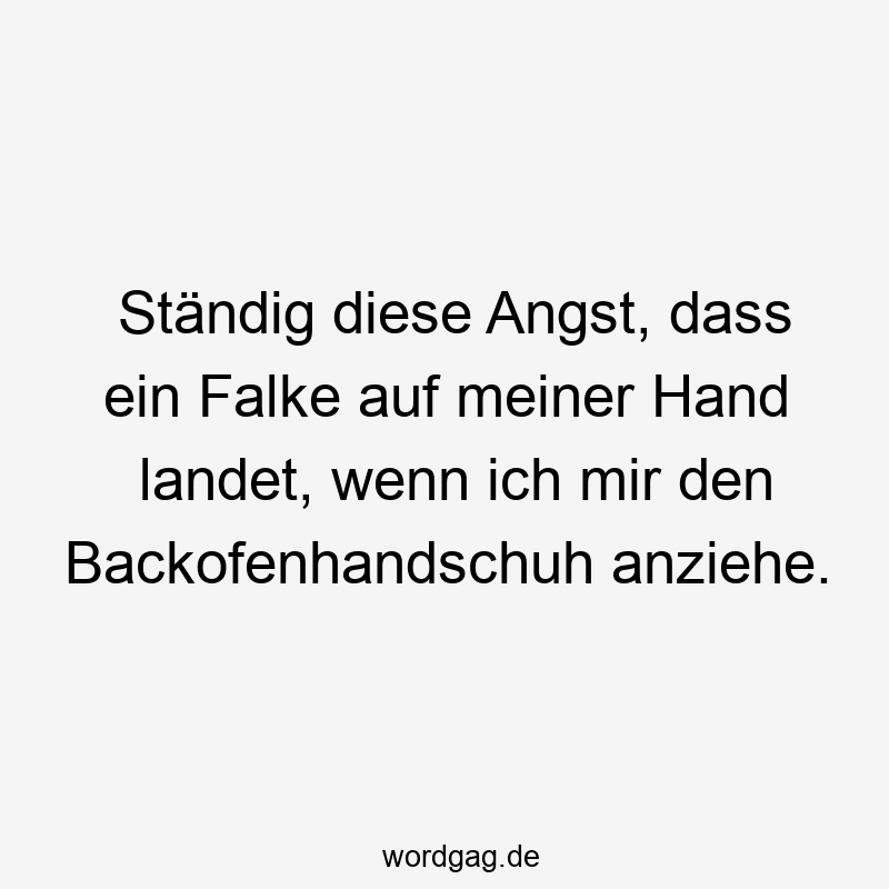 Ständig diese Angst, dass ein Falke auf meiner Hand landet, wenn ich mir den Backofenhandschuh anziehe.