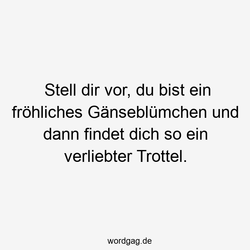 Stell dir vor, du bist ein fröhliches Gänseblümchen und dann findet dich so ein verliebter Trottel.