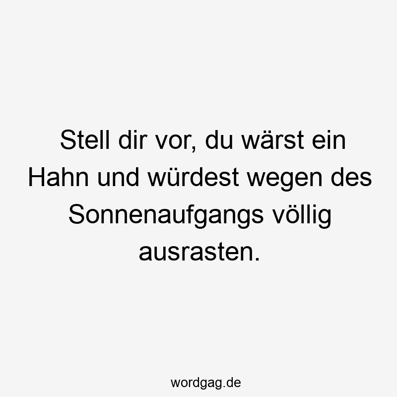 Stell dir vor, du wärst ein Hahn und würdest wegen des Sonnenaufgangs völlig ausrasten.