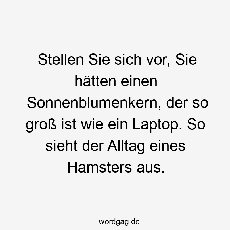 Stellen Sie sich vor, Sie hätten einen Sonnenblumenkern, der so groß ist wie ein Laptop. So sieht der Alltag eines Hamsters aus.