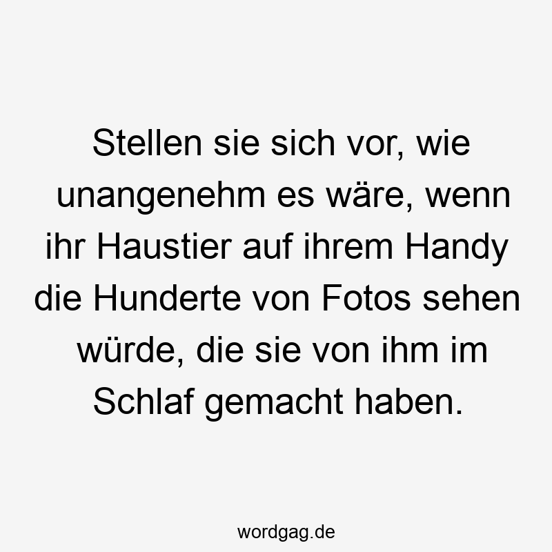 Stellen sie sich vor, wie unangenehm es wäre, wenn ihr Haustier auf ihrem Handy die Hunderte von Fotos sehen würde, die sie von ihm im Schlaf gemacht haben.