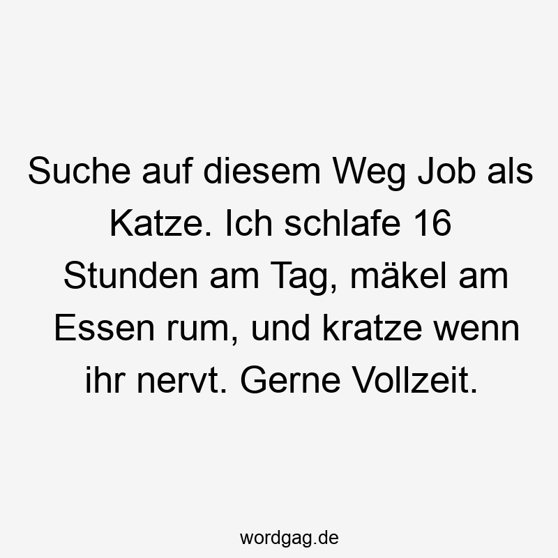 96 Lustige Faul Sprüche - Suche auf diesem Weg Job als Katze. Ich schlafe 16 Stunden am Tag, mäkel am Essen rum, und kratze wenn ihr nervt. Gerne Vollzeit.