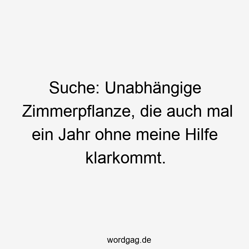 Suche: Unabhängige Zimmerpflanze, die auch mal ein Jahr ohne meine Hilfe klarkommt.