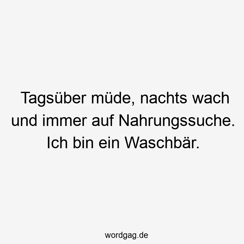119 Lustige Müde Sprüche - Tagsüber müde, nachts wach und immer auf Nahrungssuche. Ich bin ein Waschbär.