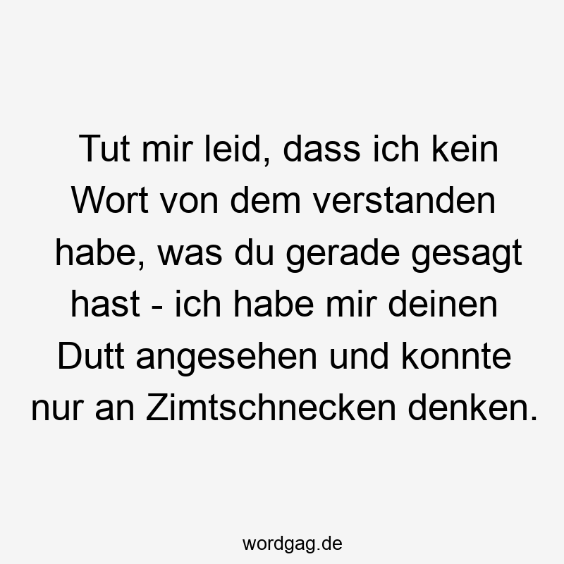 Tut mir leid, dass ich kein Wort von dem verstanden habe, was du gerade gesagt hast - ich habe mir deinen Dutt angesehen und konnte nur an Zimtschnecken denken.