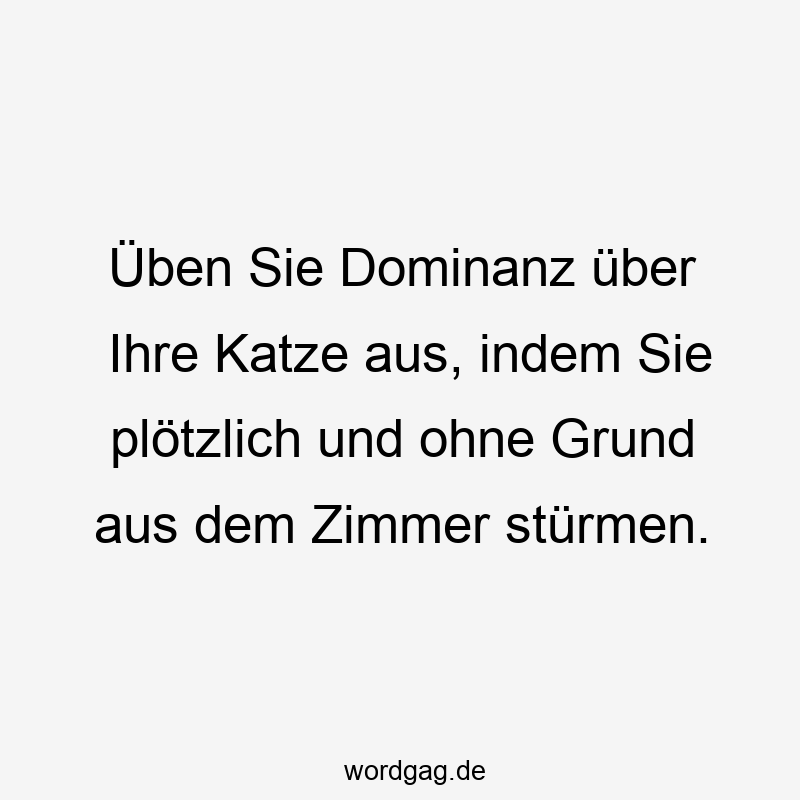 Üben Sie Dominanz über Ihre Katze aus, indem Sie plötzlich und ohne Grund aus dem Zimmer stürmen.