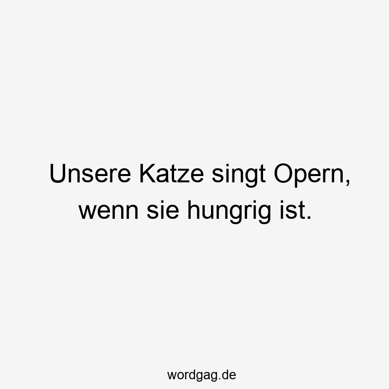 Unsere Katze singt Opern, wenn sie hungrig ist.