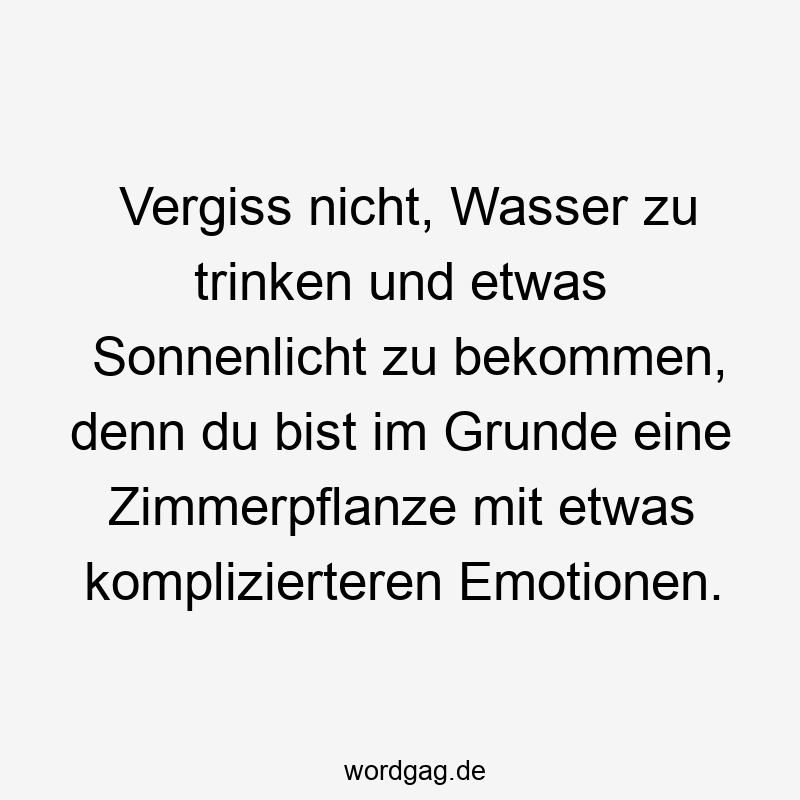 Vergiss nicht, Wasser zu trinken und etwas Sonnenlicht zu bekommen, denn du bist im Grunde eine Zimmerpflanze mit etwas komplizierteren Emotionen.