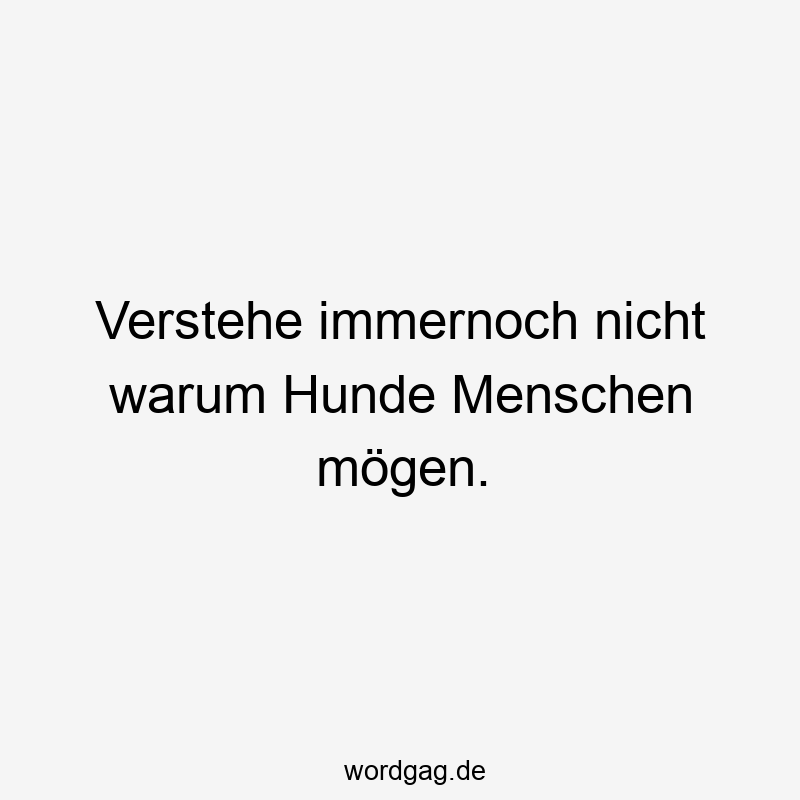 Verstehe immernoch nicht warum Hunde Menschen mögen.