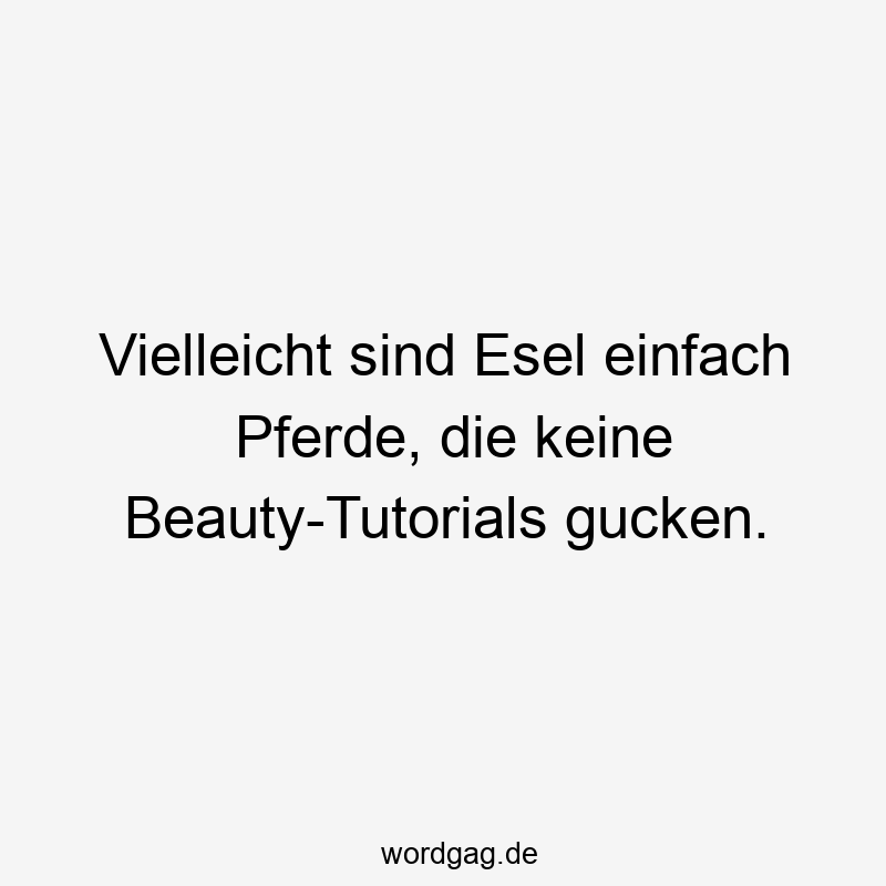 Vielleicht sind Esel einfach Pferde, die keine Beauty-Tutorials gucken.