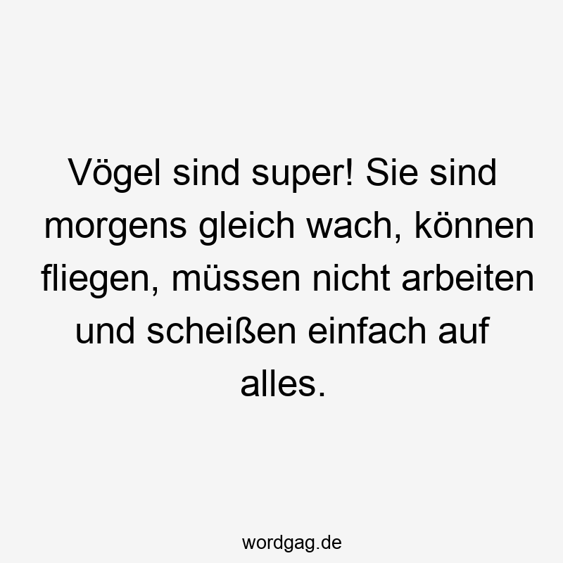 Lustige Sprüche: Gleich - Vögel sind super! Sie sind morgens gleich wach, können fliegen, müssen nicht arbeiten und scheißen einfach auf alles.