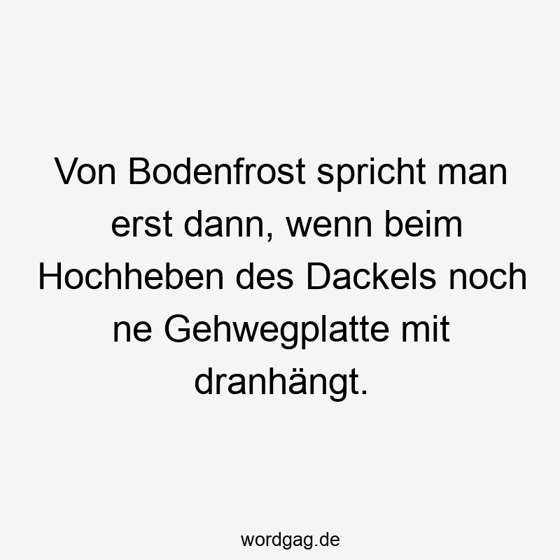 Von Bodenfrost spricht man erst dann, wenn beim Hochheben des Dackels noch ne Gehwegplatte mit dranhängt.