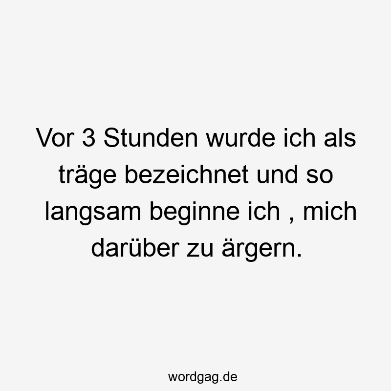 Vor 3 Stunden wurde ich als träge bezeichnet und so langsam beginne ich , mich darüber zu ärgern.