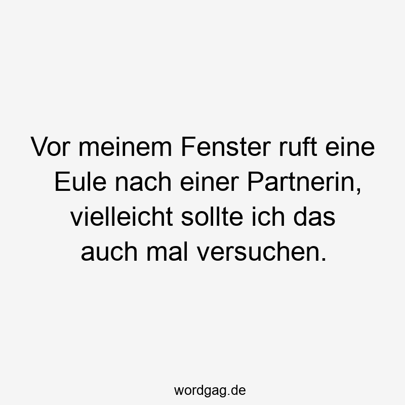 Vor meinem Fenster ruft eine Eule nach einer Partnerin, vielleicht sollte ich das auch mal versuchen.