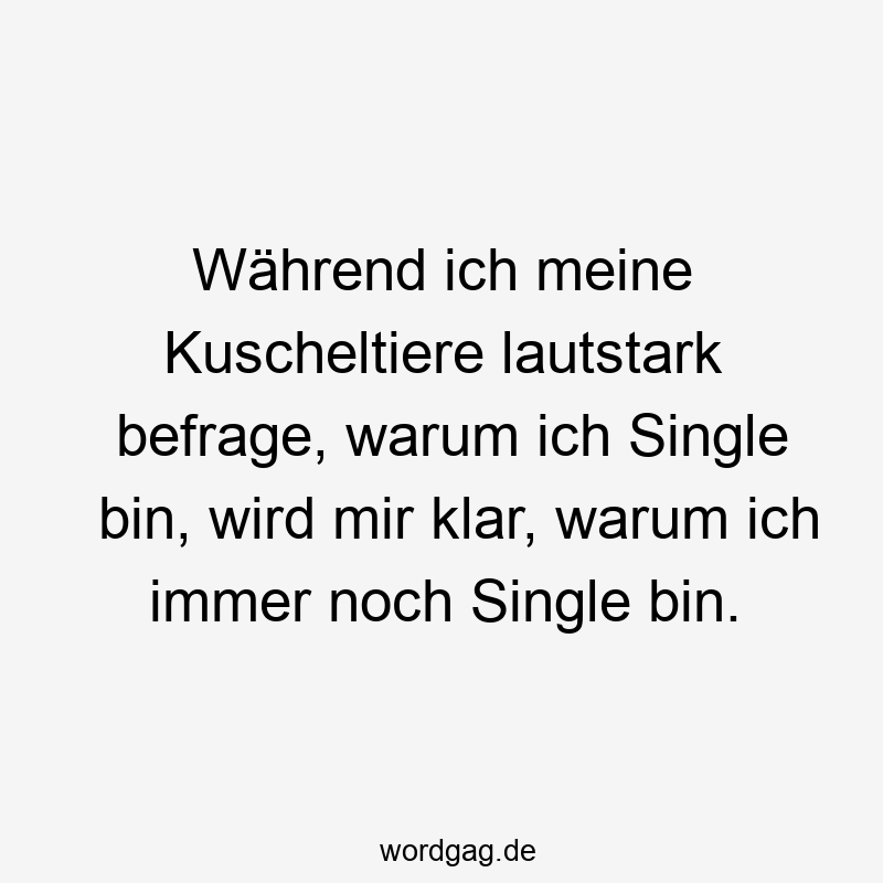 Während ich meine Kuscheltiere lautstark befrage, warum ich Single bin, wird mir klar, warum ich immer noch Single bin.