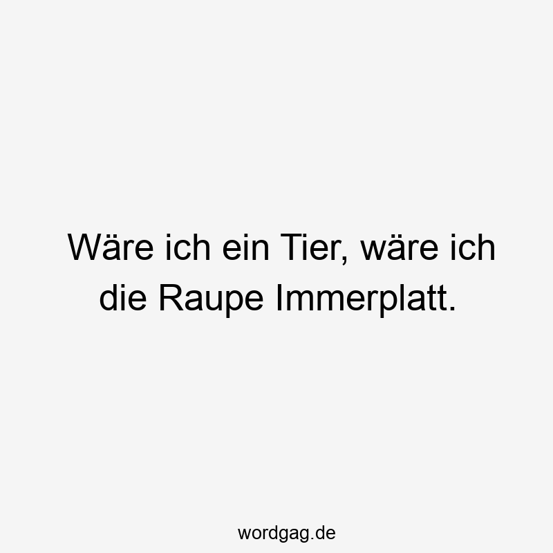 Wäre ich ein Tier, wäre ich die Raupe Immerplatt.