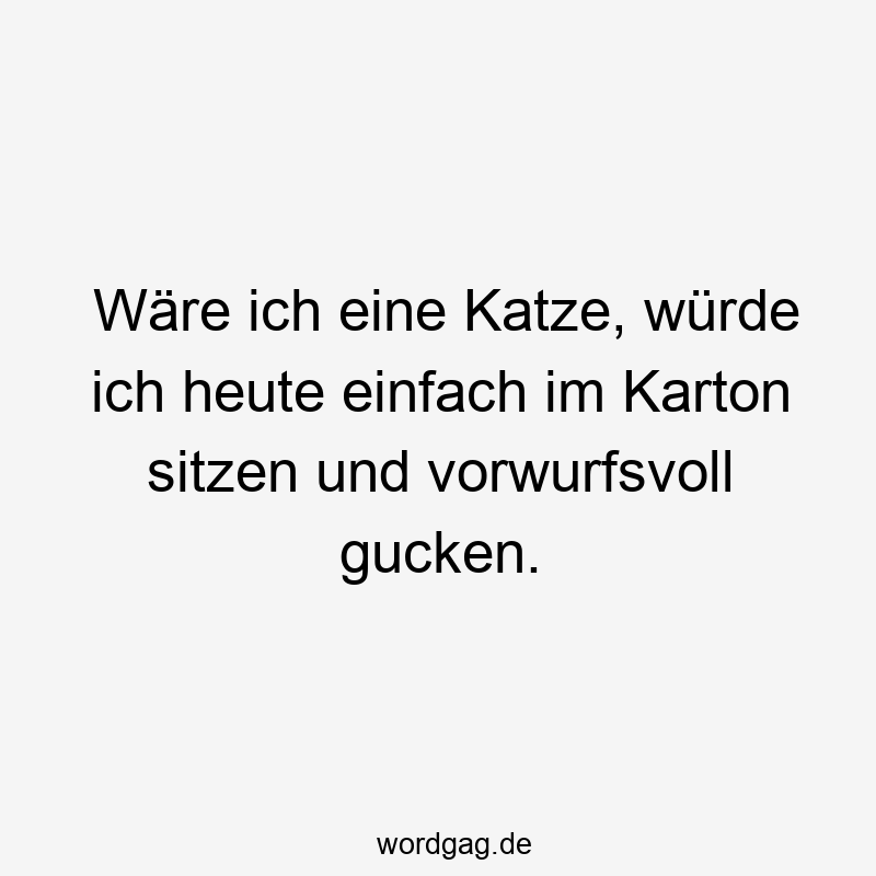 Wäre ich eine Katze, würde ich heute einfach im Karton sitzen und vorwurfsvoll gucken.