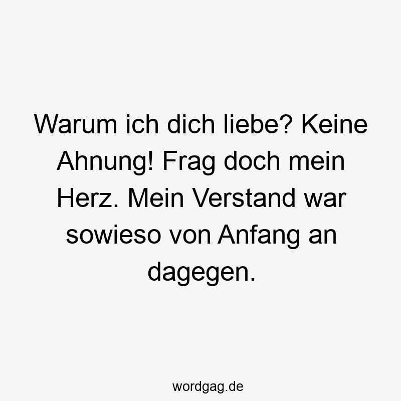 Warum ich dich liebe? Keine Ahnung! Frag doch mein Herz. Mein Verstand war sowieso von Anfang an dagegen.