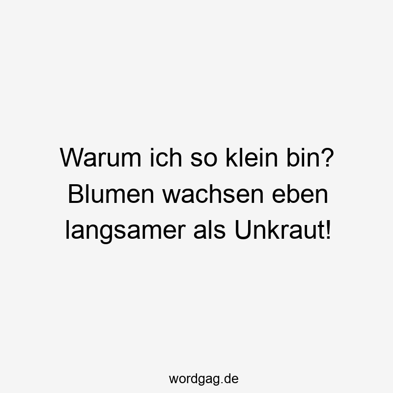 Warum ich so klein bin? Blumen wachsen eben langsamer als Unkraut!