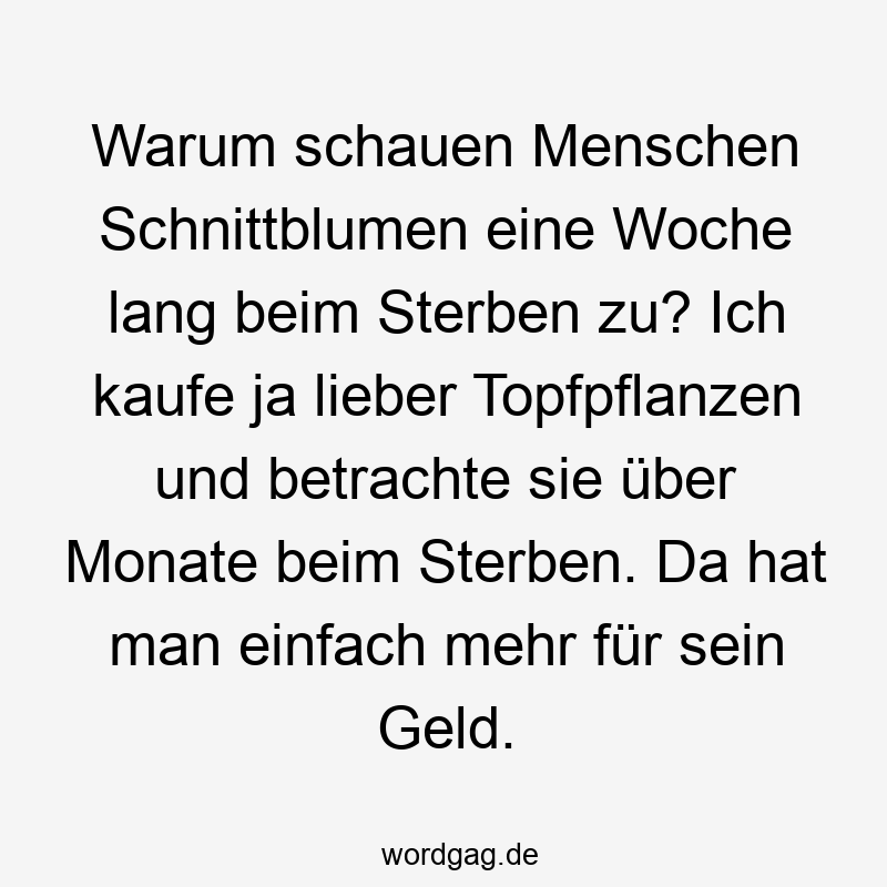Warum schauen Menschen Schnittblumen eine Woche lang beim Sterben zu? Ich kaufe ja lieber Topfpflanzen und betrachte sie über Monate beim Sterben. Da hat man einfach mehr für sein Geld.