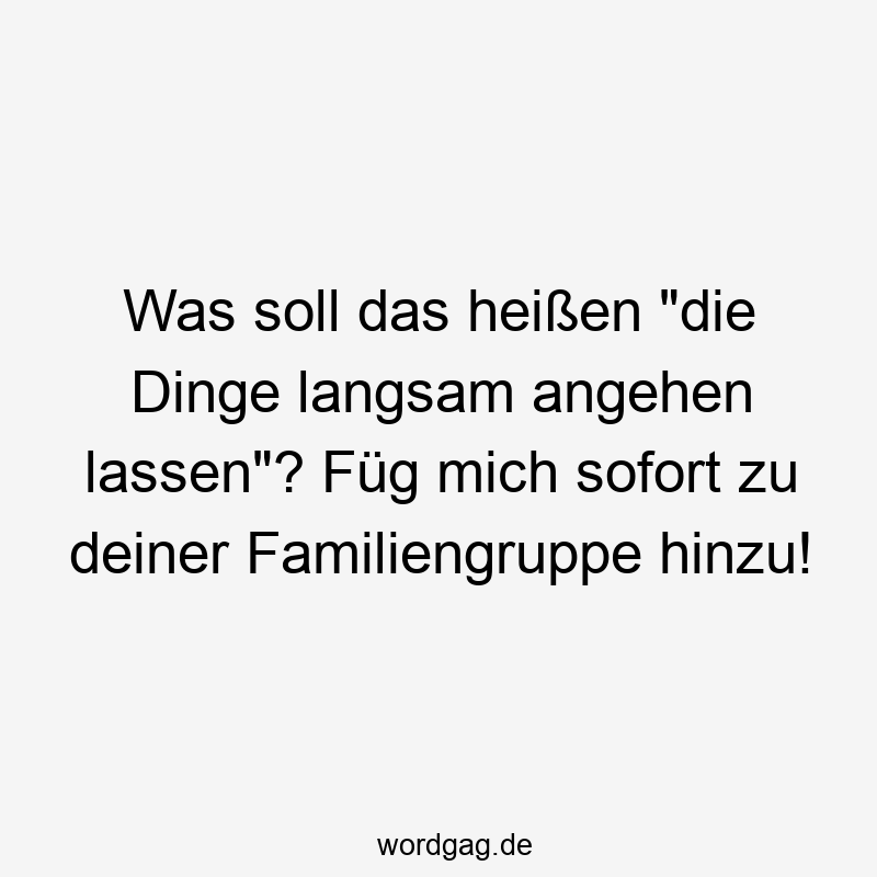 195 Lustige lassen Sprüche - Was soll das heißen „die Dinge langsam angehen lassen“? Füg mich sofort zu deiner Familiengruppe hinzu!