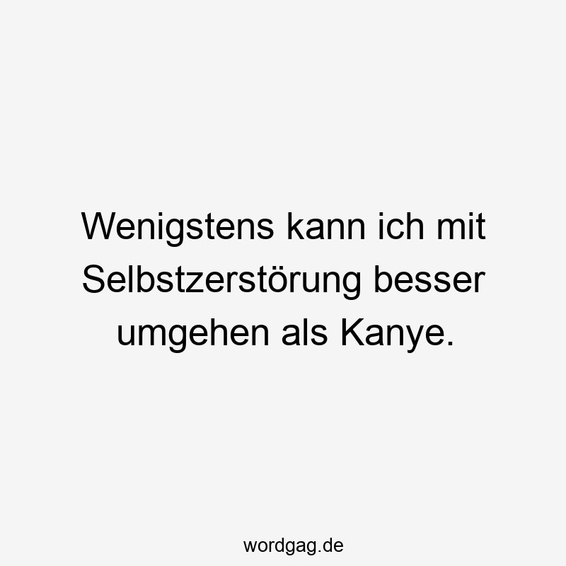 Wenigstens kann ich mit Selbstzerstörung besser umgehen als Kanye.