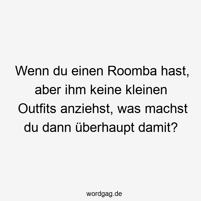 Wenn du einen Roomba hast, aber ihm keine kleinen Outfits anziehst, was machst du dann überhaupt damit?