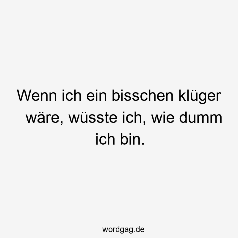 Wenn ich ein bisschen klüger wäre, wüsste ich, wie dumm ich bin.