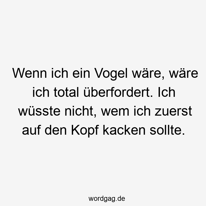 Wenn ich ein Vogel wäre, wäre ich total überfordert. Ich wüsste nicht, wem ich zuerst auf den Kopf kacken sollte.