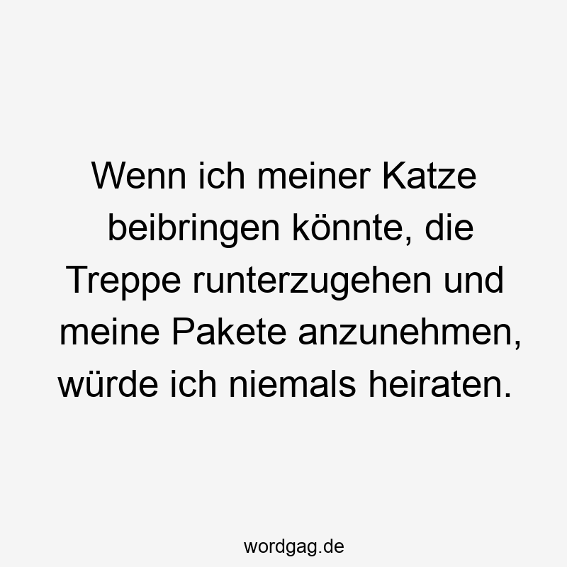 48 Lustige Heiraten Sprüche - Wenn ich meiner Katze beibringen könnte, die Treppe runterzugehen und meine Pakete anzunehmen, würde ich niemals heiraten.