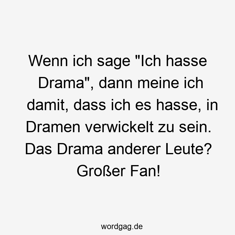 Lustige Sprüche: andere Leute - Wenn ich sage „Ich hasse Drama“, dann meine ich damit, dass ich es hasse, in Dramen verwickelt zu sein. Das Drama anderer Leute? Großer Fan!