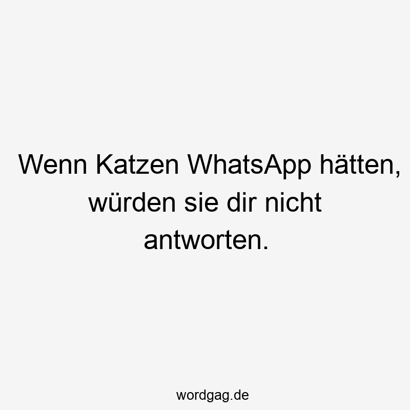 Wenn Katzen WhatsApp hätten, würden sie dir nicht antworten.