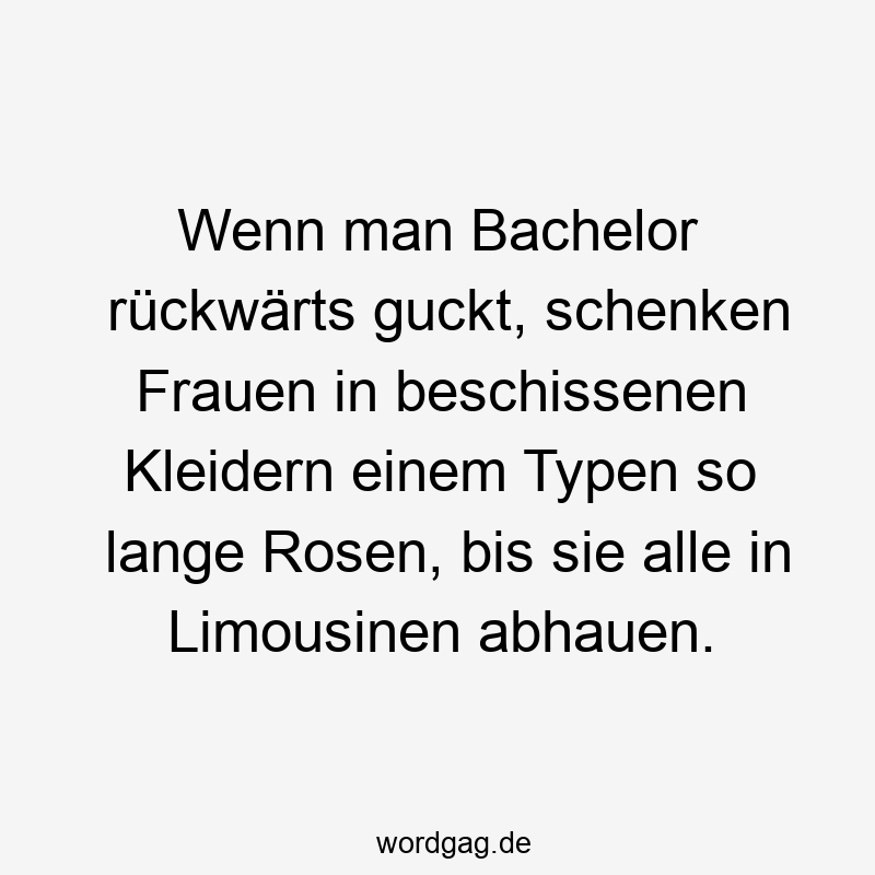 Wenn man Bachelor rückwärts guckt, schenken Frauen in beschissenen Kleidern einem Typen so lange Rosen, bis sie alle in Limousinen abhauen.